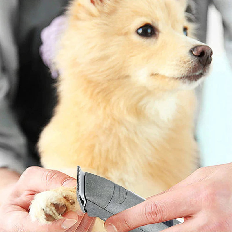 #30 Ceramic Detachable Pet Clipper Replacement Blade Compatible With Most Andis, Oster A5, Wahl KM Dog & Animal Clippers, 0.5mm