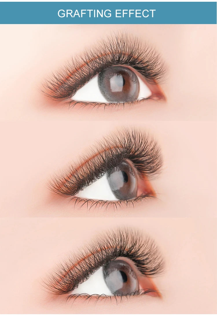 E-young 2d Premade Lashes Volume Fans Short Stem C/D Curl 0.1mm Natural False Eyelashes Extensions Premade Fans Wholesale Makeup