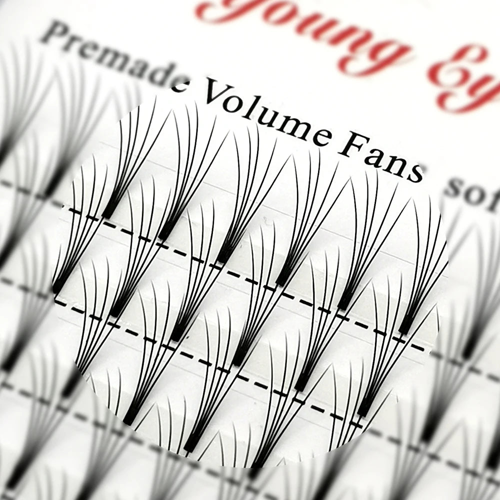E-young 2d Premade Lashes Volume Fans Short Stem C/D Curl 0.1mm Natural False Eyelashes Extensions Premade Fans Wholesale Makeup