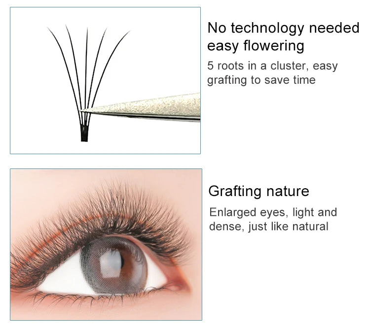E-young 2d Premade Lashes Volume Fans Short Stem C/D Curl 0.1mm Natural False Eyelashes Extensions Premade Fans Wholesale Makeup