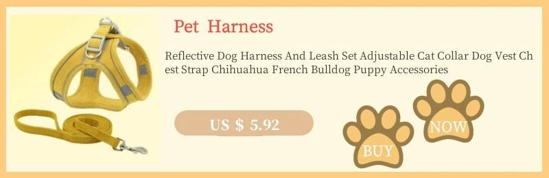 Furry Winter Small Dog Harness Leash Set Warm Pet Chest Strap Puppy Cat Walking Lead Vest French Bulldog Accessories Chihuah