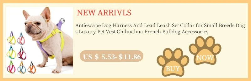 Furry Winter Small Dog Harness Leash Set Warm Pet Chest Strap Puppy Cat Walking Lead Vest French Bulldog Accessories Chihuah