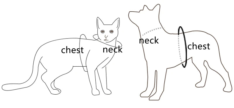 Furry Winter Small Dog Harness Leash Set Warm Pet Chest Strap Puppy Cat Walking Lead Vest French Bulldog Accessories Chihuah