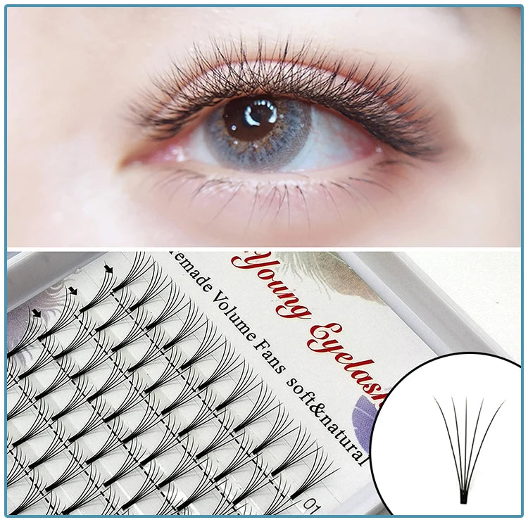 E-young 2d Premade Lashes Volume Fans Short Stem C/D Curl 0.1mm Natural False Eyelashes Extensions Premade Fans Wholesale Makeup