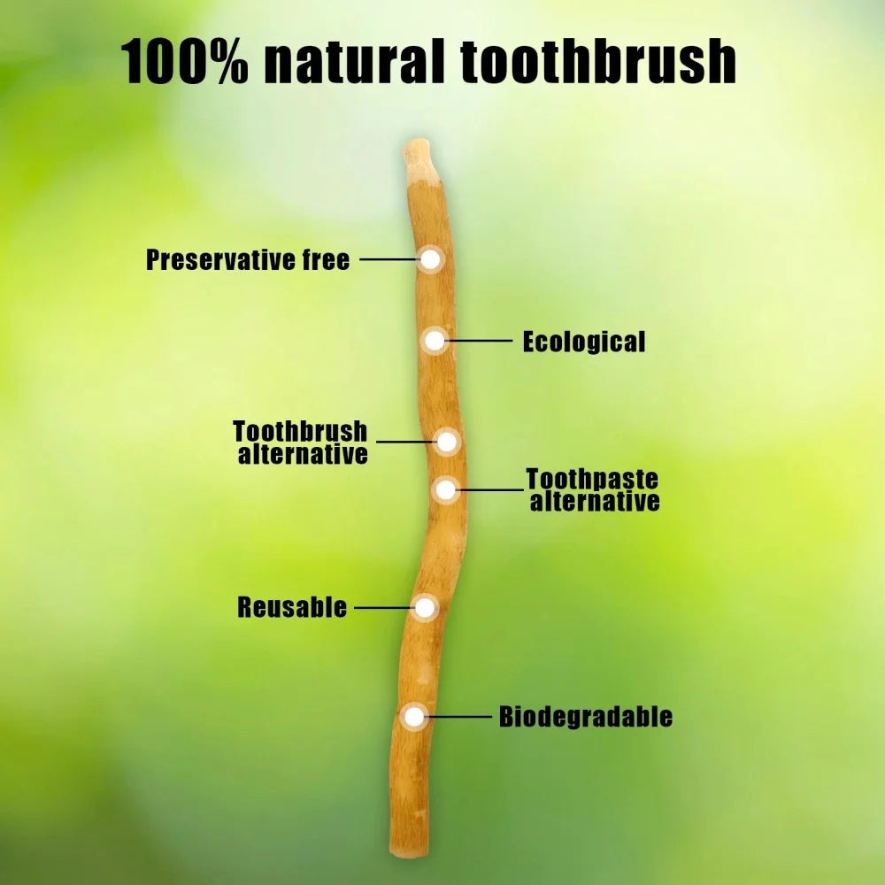 3 Mixed Flavors Miswak Sticks Toothbrush - Natural Arabic Plants For Healthy Teeth , Fresher Breath ( Mint & Original & Clove )