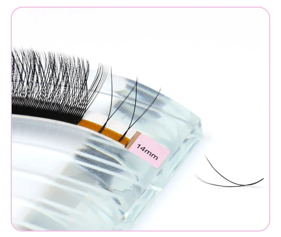 AGUUD Automatic Flowering 2D 3D 4D 5D W Shape Premade Fans Eyelash Extensions Natural Soft Individual Lashes Makeup Cilia