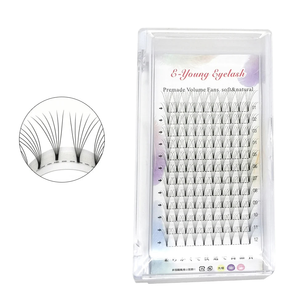 E-young 2d Premade Lashes Volume Fans Short Stem C/D Curl 0.1mm Natural False Eyelashes Extensions Premade Fans Wholesale Makeup