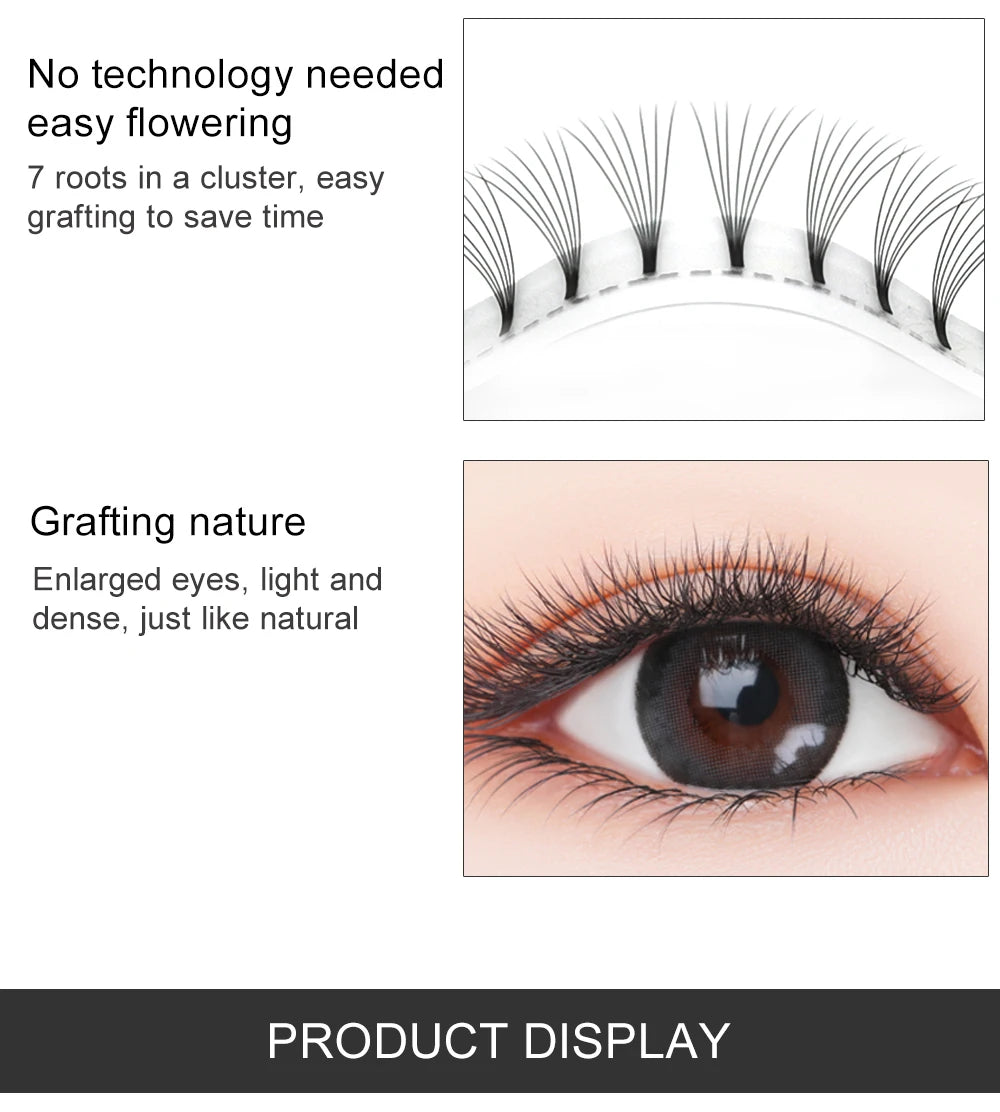 E-young 2d Premade Lashes Volume Fans Short Stem C/D Curl 0.1mm Natural False Eyelashes Extensions Premade Fans Wholesale Makeup