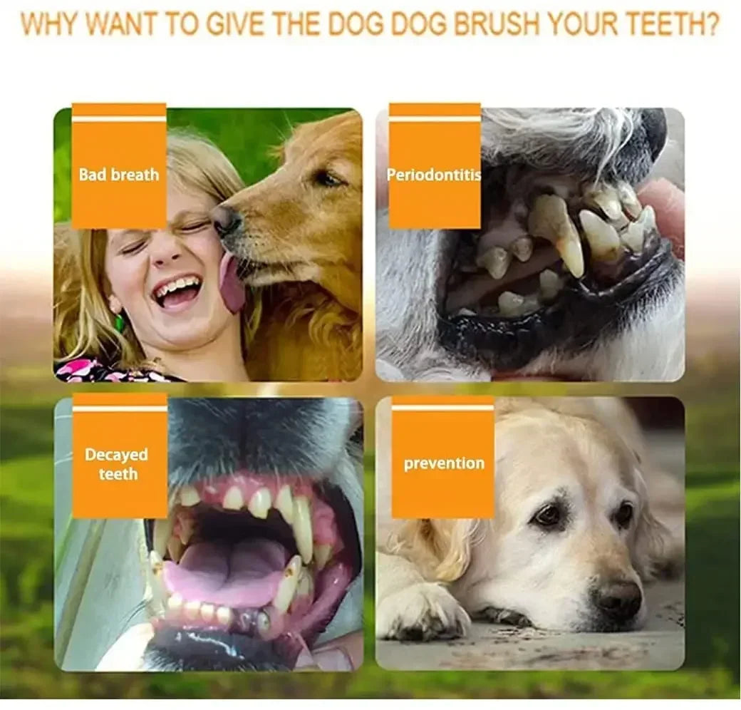 Pet Finger Toothbrush Kit Non-Toxic Silicone Dental Cleaning Tool for Dogs Cats Puppies Tartar Removal Bad Breath Care Cleaning