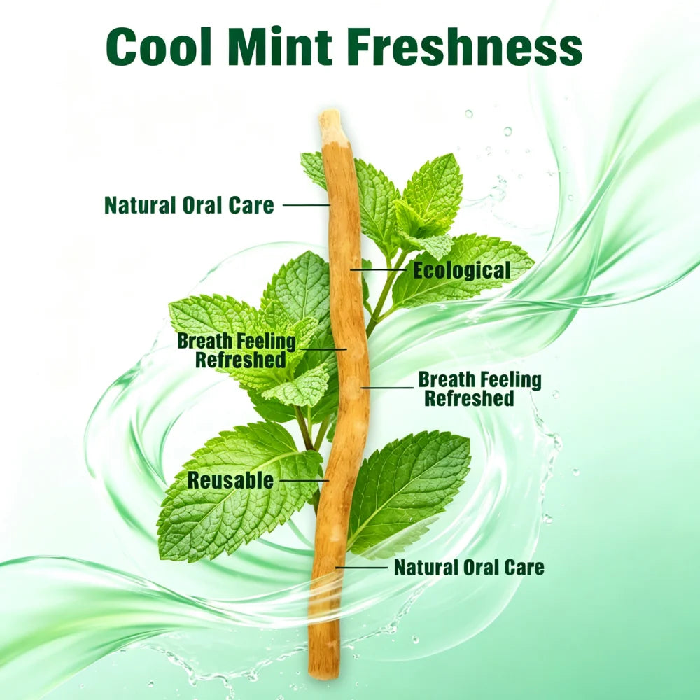 Mint Flavored Special Branch Miswak Vacuum Sealed Traditional Stick Toothbrush For Good Gums Teeth Fresher Breath Gift Siwak New